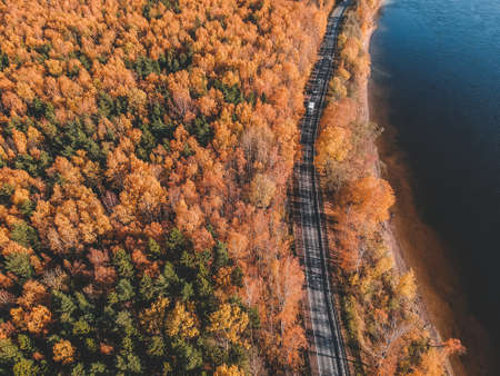 Aerial view on morning lights in the forest. Colorful trees and blue lake from above, Winding road. Russia, St. Petersburg.の写真素材