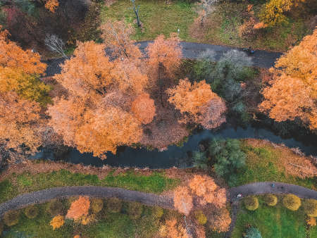 Aerial view on autumn Park in the suburbs of the city. St. Petersburg, Russia