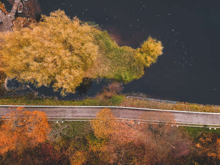 Aerial view walking path along the lake, colorful autumn forest. St. Petersburg, Russia