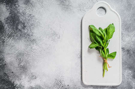 A sprig of Basil on a white background. Space for text. Seasoning for vegetables.の写真素材