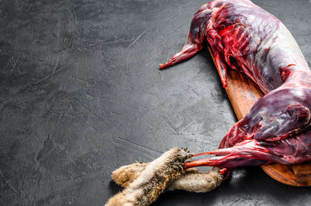 Whole forest wild hare, raw meat on wooden deck, old black rustic table. top view, copy space.の写真素材