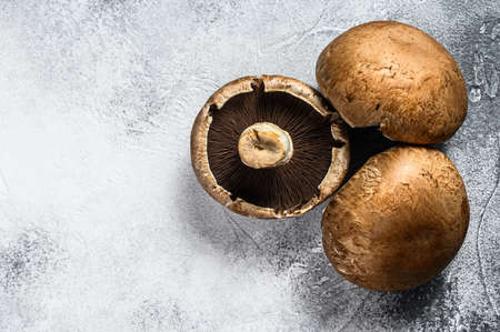 Raw Portobello mushrooms. Gray background. Top view.の写真素材