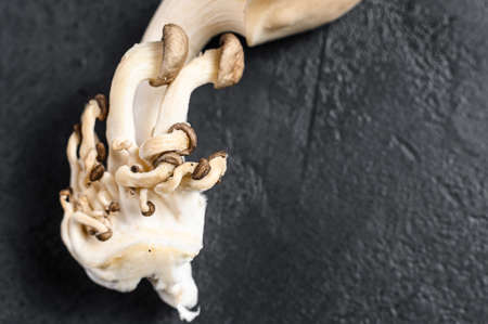 Raw oyster mushrooms. Organic food. Black background. Top view. Space for text.の写真素材