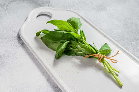 A sprig of Basil on a white background. Space for text. Seasoning for vegetables.の写真素材