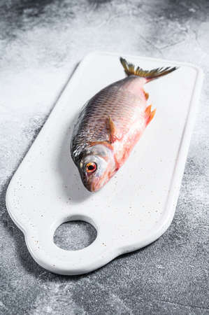 crucian carp on a white chopping Board. Gray background. Top view.
