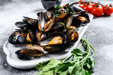 Fresh uncooked mussels in shells. The concept of cooking in tomato sauce with parsley. Gray...