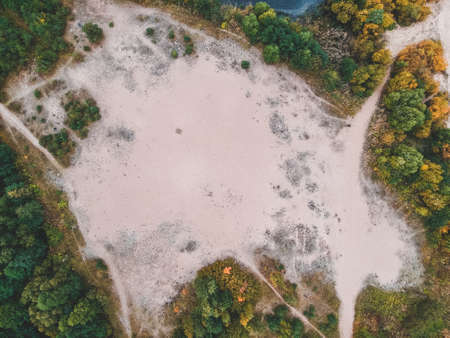 Aerialphoto forests on the shoreline of the Baltic sea beachの写真素材