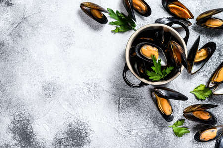 Raw fresh mussels. Gray background. Top view. Space for text.