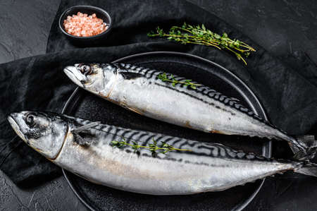 Mackerel fish with thyme and pink salt. Fresh seafood. Black background. Top view.の写真素材