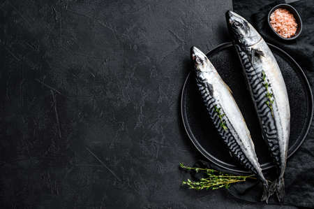 Raw mackerel fish with thyme and pink salt. Fresh seafood. Black background. Top view. Space for...