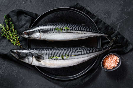 Mackerel fish with thyme and pink salt. Fresh seafood. Black background. Top view.の写真素材