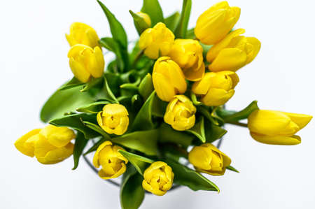 A bouquet of yellow Tulips in a glass vase on a white background. The view from the top. Copy space.