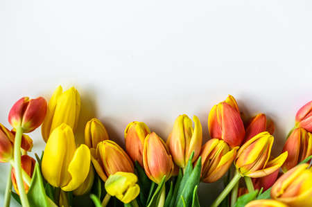 Lovely greeting card with tulips for Mothers day, wedding or happy event. White background. Top view. Copy space.の写真素材