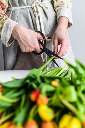 Young woman florist working with fresh flowers tulips, making bouquet. White background.