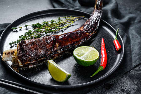 Japanese Grilled eel with teriyaki sauce, unagi. Black background. Top view.