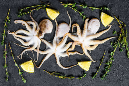 Raw baby octopus on black background. Organic seafood. Top view.の写真素材