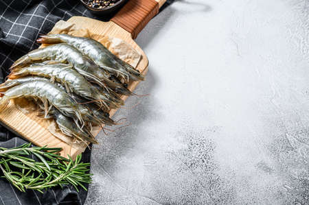 Fresh raw giant langoustine shrimp . Gray background. Top view. Copy space.の写真素材