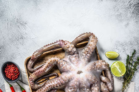 Fresh octopus ready for cooking. Organic seafood. Gray background. Top view. Copy space.の写真素材