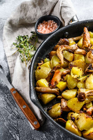 Fried oyster mushrooms with potatoes in a pan. Gray background. Top view.の写真素材
