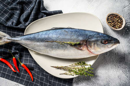 One piece of Japanese amberjack. Raw Fish Yellowtail. Gray background. Top view.