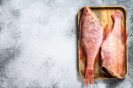 Raw red sea bass. Gray background. Top view. Space for text.