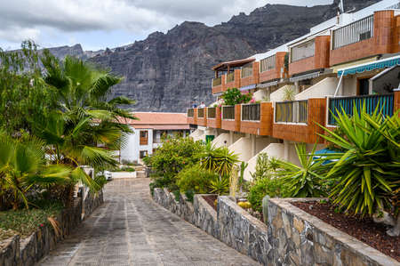 A narrow street with flowers and palm trees between the villas. Selective focus. 20.01.2020 Los Gigantes, Tenerife.のeditorial素材