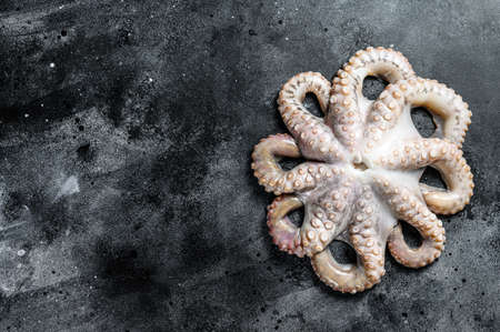 Fresh raw octopus on the table. Black background. Top view. Copy space.