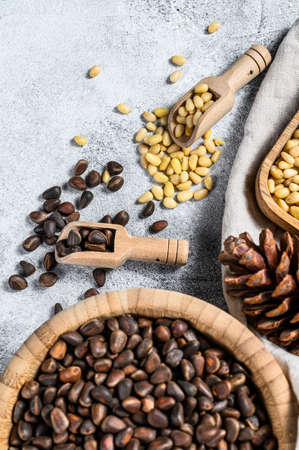 pine nuts peeled and in the shell. Gray background. Top view.の写真素材