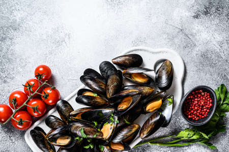 Fresh uncooked mussels in shells. The concept of cooking in tomato sauce with parsley. Gray...