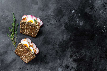 Toast from grain bread with hot smoked salmon, egg and radish. Black background, top view, space for...