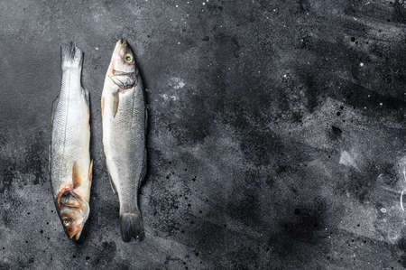 Sea bass fish, raw seabass. Black background. Top view. Copy space.