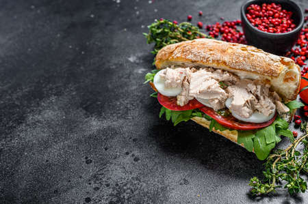 Sandwich with cod liver pate, arugula, tomato, egg and herbs. Black background. Top view. Copy space.の写真素材