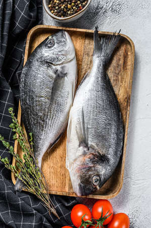 Raw Dorado fish with cooking ingredients, cherry tomatoes, thyme, pepper. Gray background. top viewの写真素材