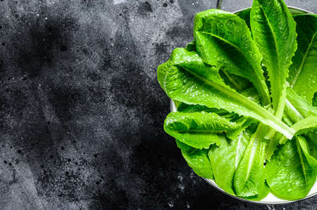 Ripe organic green salad Romano in a colander. Black background. Top view. Copy space.の写真素材