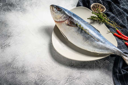 Fresh whole Japanese amberjack. Raw Fish Yellowtail. Gray background. Top view. Copy space.の写真素材