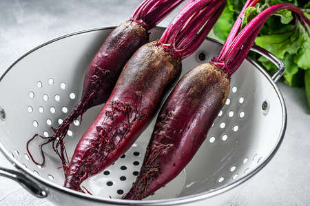 Washed organic purple beets in a colander. Gray background. Top view.