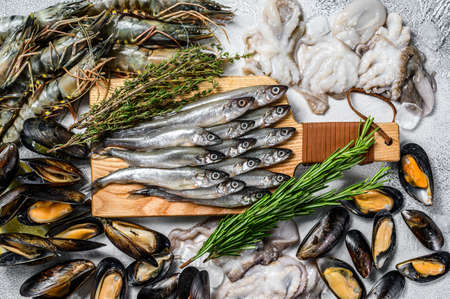 Raw seafood tiger prawns, shrimps, blue mussels, octopuses, sardines, smelt. white background. Top view.の写真素材