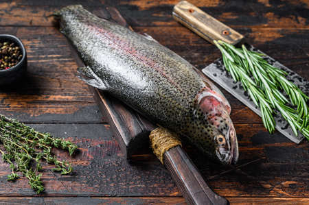 Raw fresh Rainbow trout fish with herbs. Dark wooden background. top view.の写真素材