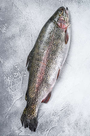 Raw Rainbow trout fish on a table. White background. Top view.