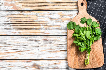 Organic coriander. A bunch of fresh herbs. White background. Top view. Copy space.の写真素材