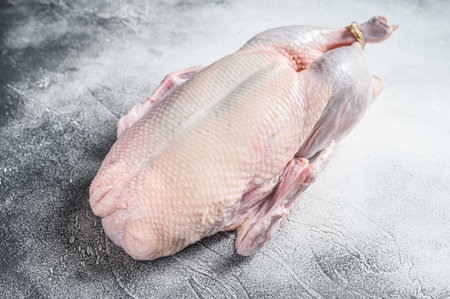 Raw whole duck, poultry meat. White background. Top view.の写真素材