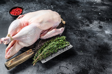 Raw whole goose, poultry meat. Black background. Top view. Space for text.の写真素材