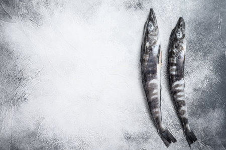 Raw icefish on a kitchen table. White background. Top view. Copy space.の写真素材