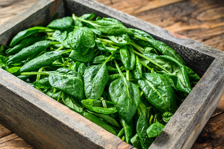 Young baby spinach leaves in a farm wooden box. Natural wooden background. Top view.の写真素材