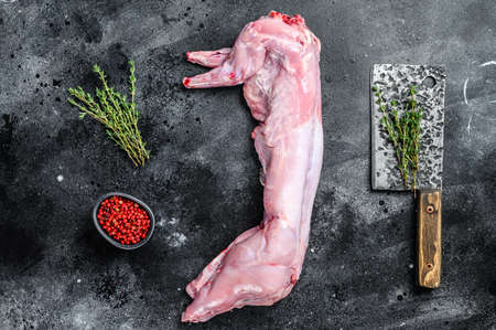 Whole raw rabbit with cooking spices. Black background. Top viewの写真素材