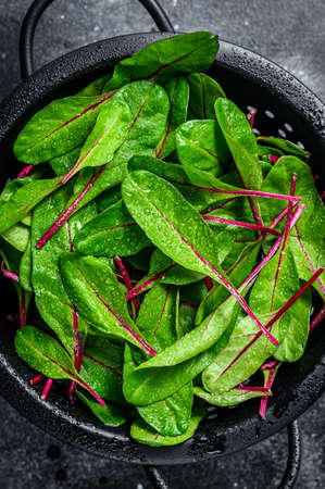 Fresh green chard mangold leaves in colander. Black background. Top view