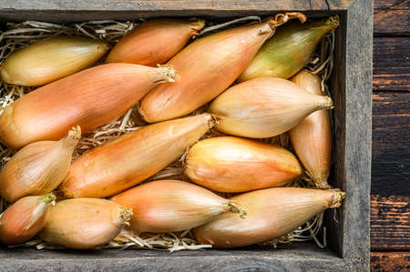 Raw Fresh Shallot onions Bulbs in a wooden market box. Dark Wooden background. Top viewの写真素材