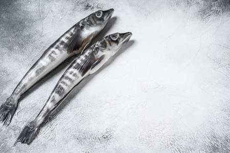 Raw icefish on a kitchen table. White background. Top view. Copy spaceの写真素材