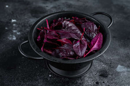 Leaves of Swiss red chard or Mangold salad in a colander. Black background. Top viewの写真素材