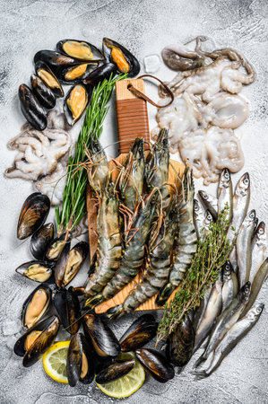 Assorted set of fresh seafood tiger prawns, shrimps, blue mussels, octopuses, sardines, smelt. Gray background. Top viewの写真素材